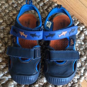 Osh kosh boys sandals with shark design